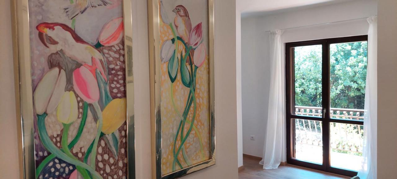 Oriana Apartment