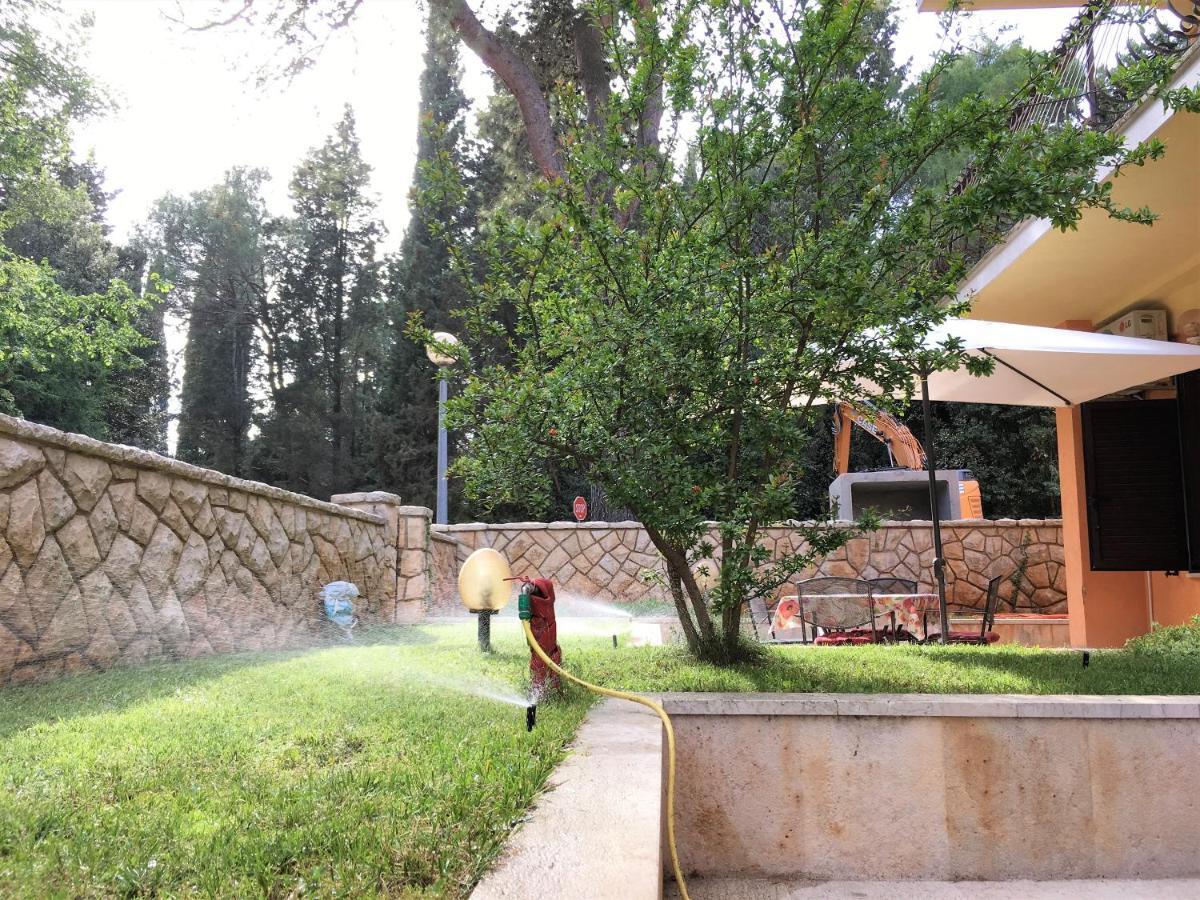 Oriana Apartment