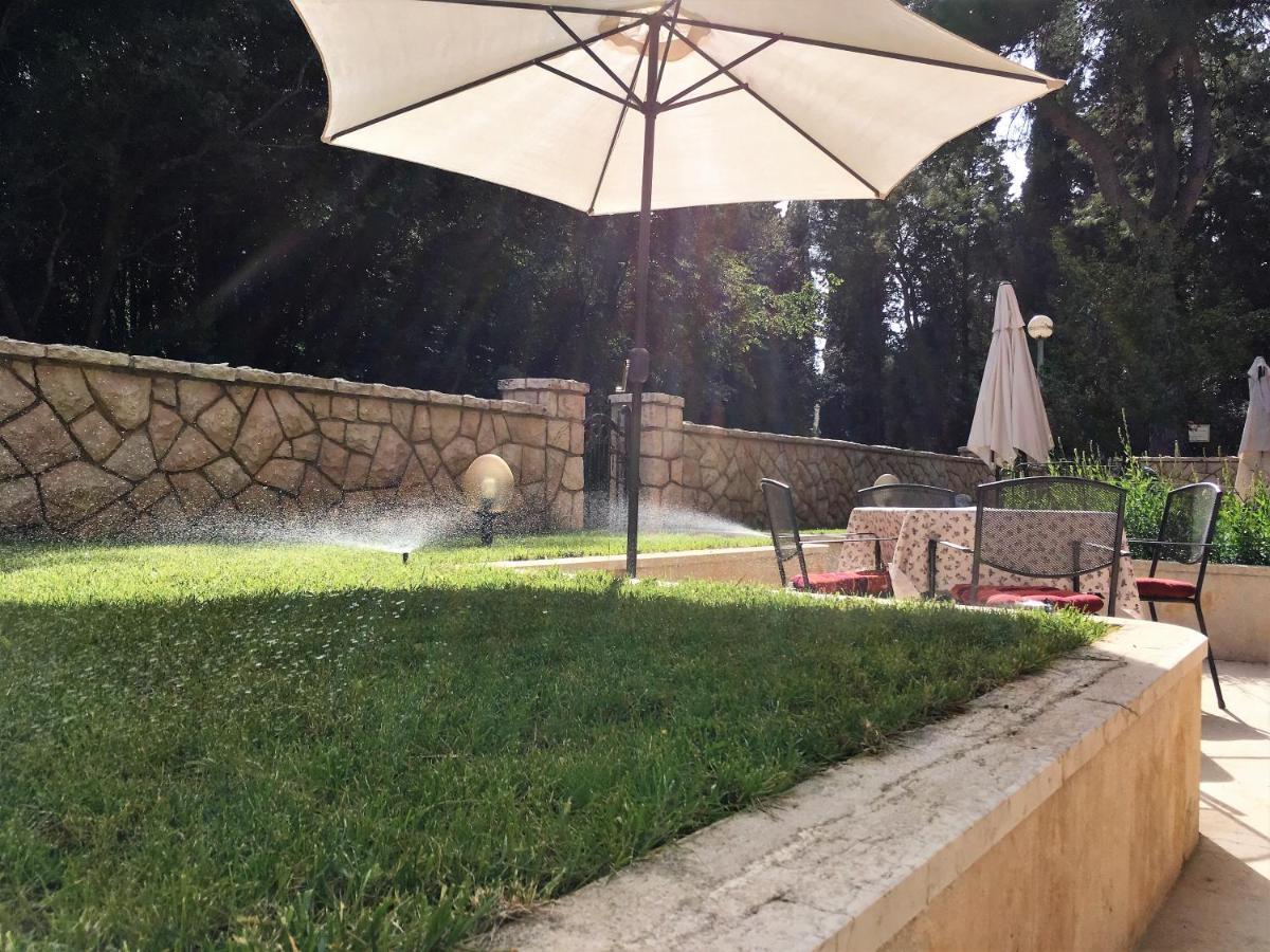 Apartment Oriana Rovinj